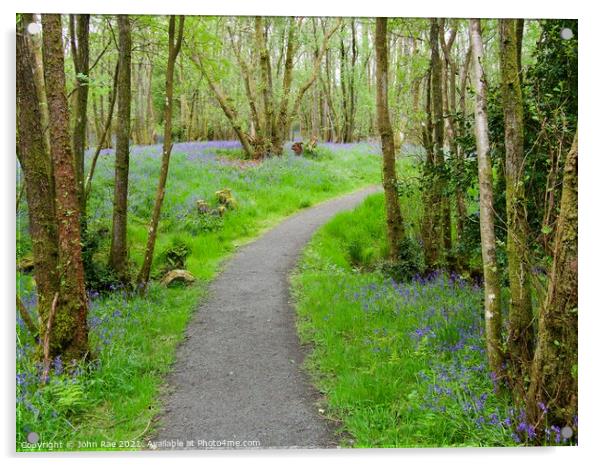 Path through RSPB Loch Lomond Acrylic by John Rae