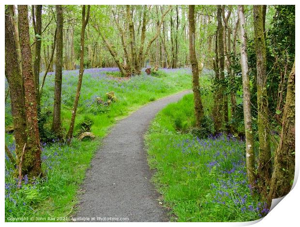 Path through RSPB Loch Lomond Print by John Rae