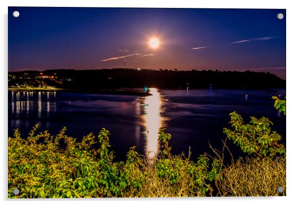 Moon Rise Acrylic by David Whitehead