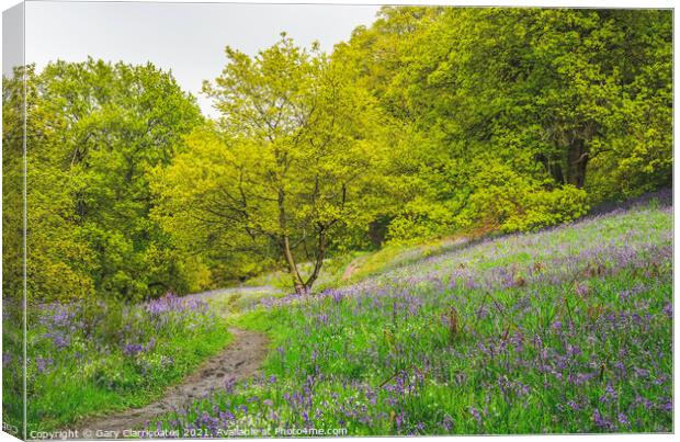 A Woodland Walk in Spring Canvas Print by Gary Clarricoates