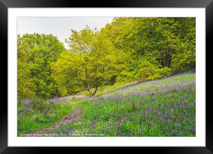 A Woodland Walk in Spring Framed Mounted Print by Gary Clarricoates