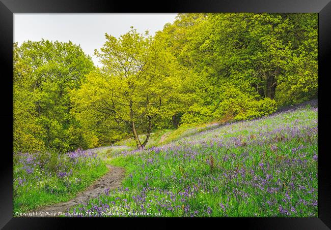 A Woodland Walk in Spring Framed Print by Gary Clarricoates