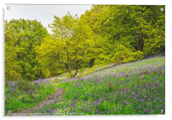 A Woodland Walk in Spring Acrylic by Gary Clarricoates
