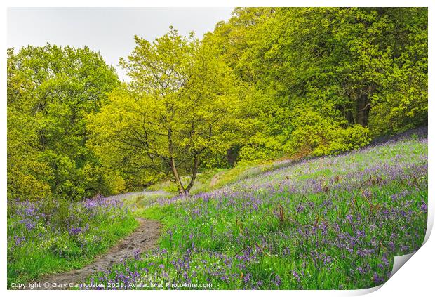 A Woodland Walk in Spring Print by Gary Clarricoates
