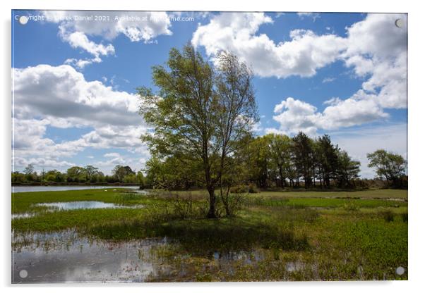 Hatchet Pond, New Forest East Boldre Acrylic by Derek Daniel