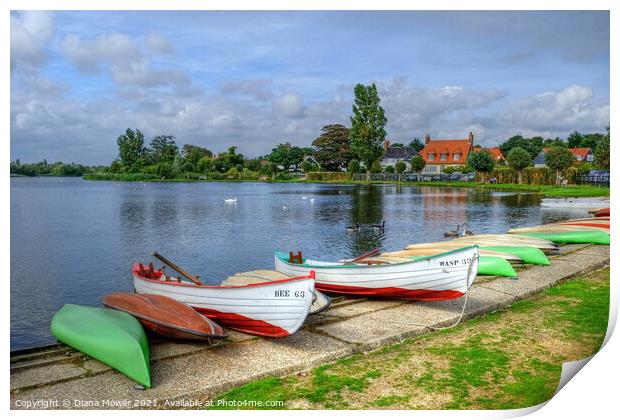 The  Meare Thorpeness Suffolk Print by Diana Mower