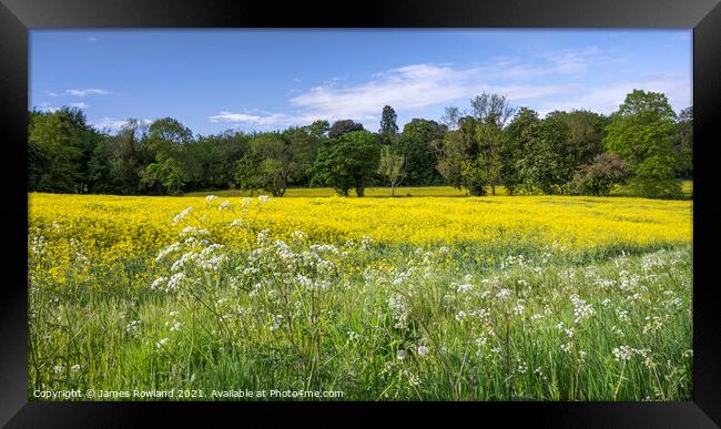 Rapeseed Fields Framed Print by James Rowland