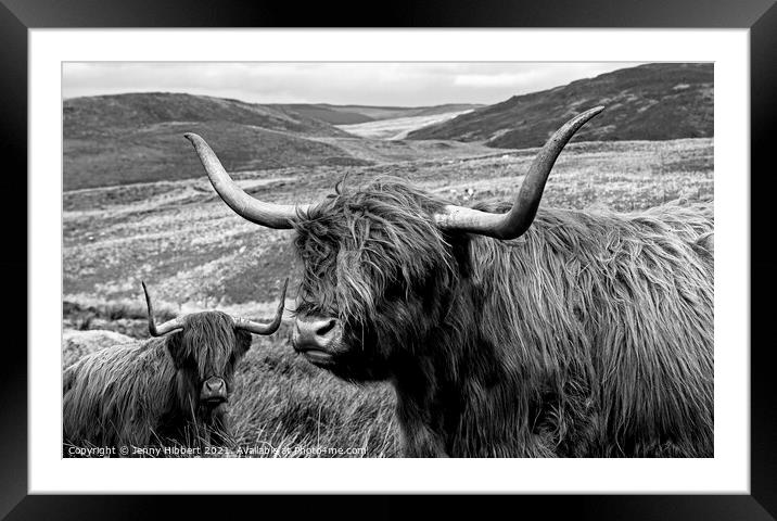 Two Highland cows together close to Nant-y-Moch reservoir  Framed Mounted Print by Jenny Hibbert