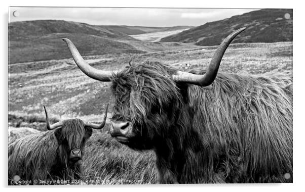 Two Highland cows together close to Nant-y-Moch reservoir  Acrylic by Jenny Hibbert