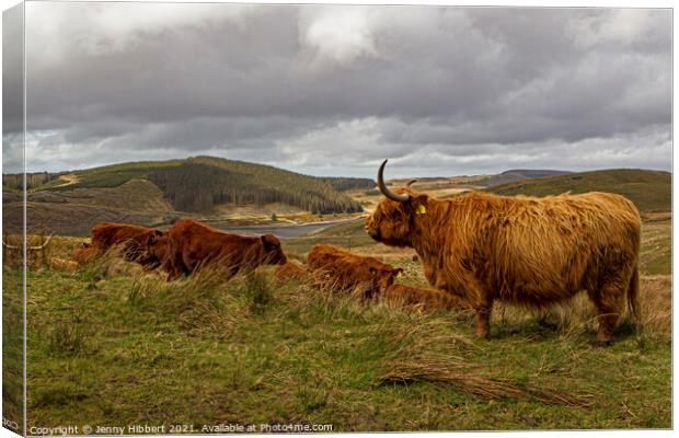 A herd of Highland cattle with Nant-y-Moch reservoir in the distance Canvas Print by Jenny Hibbert