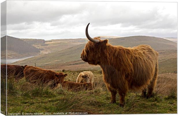 A herd of cattle standing on top of a lush green field Canvas Print by Jenny Hibbert