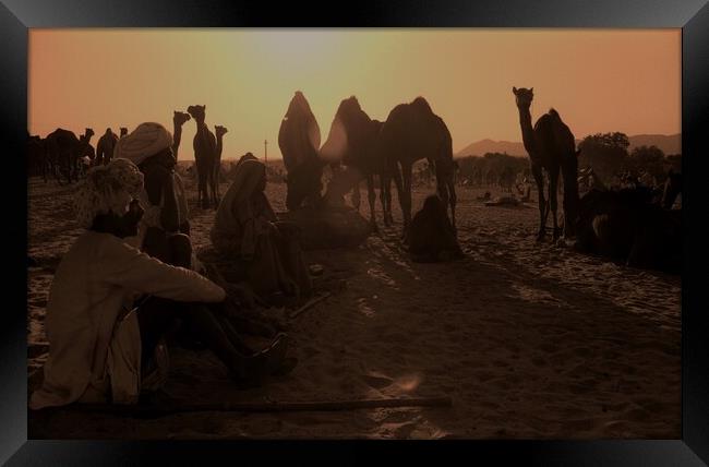 Camel fair. Framed Print by Michael Snead