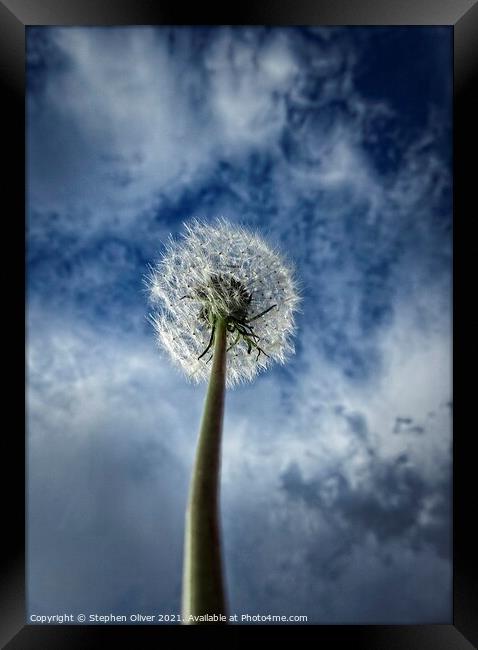 Reach for the sky Framed Print by Stephen Oliver