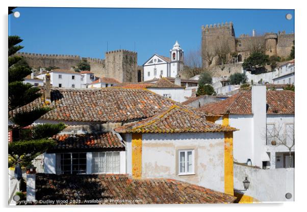 Enchanting Obidos Castle Acrylic by Dudley Wood