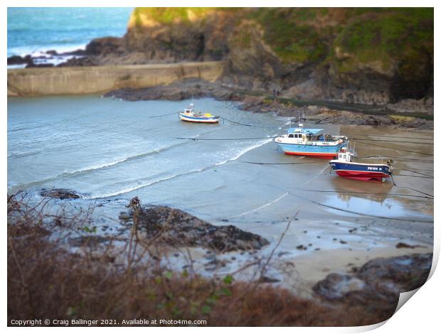 TOY BOATS Print by Craig Ballinger