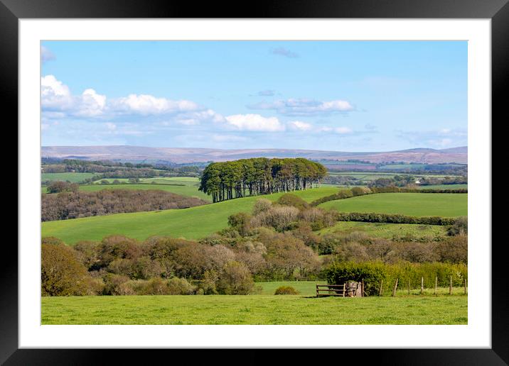 Nearly There Trees Framed Mounted Print by Oxon Images