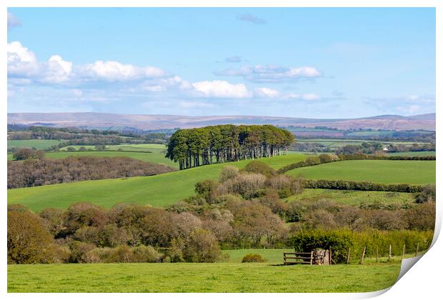 Nearly There Trees Print by Oxon Images