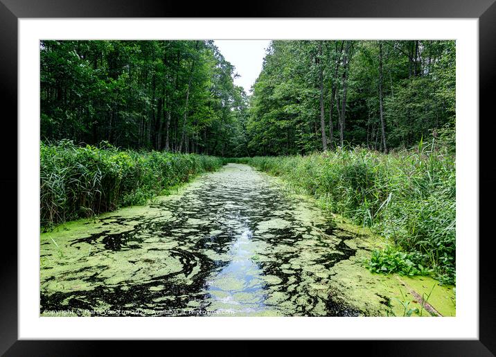 River covered in green seaweed in the middle of the forest.  Framed Mounted Print by Maria Vonotna