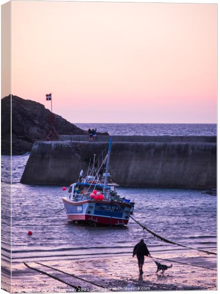 Man Playing With His Dog At Port Issac Beach At Sunset Canvas Print by Peter Greenway