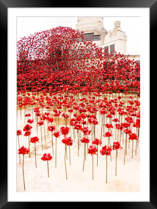 Plymouth Hoe Navy War Memorial - Wave Of Ceramic Poppies Framed Mounted Print by Peter Greenway