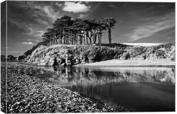 River Otter reflections at Budleigh Salterton   Canvas Print by Darren Galpin