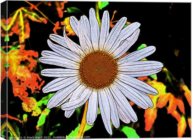 Daisy with that 60s Feel. Canvas Print by Mark Ward