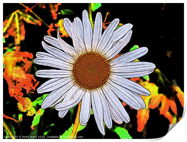 Daisy with that 60s Feel. Print by Mark Ward
