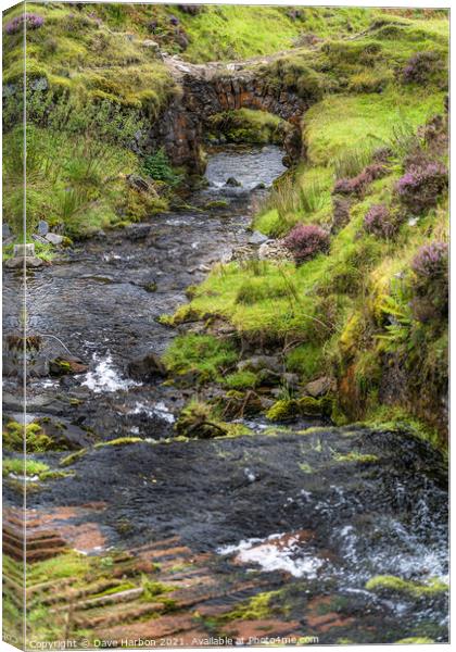 The Wee Bùrn Canvas Print by Dave Harbon