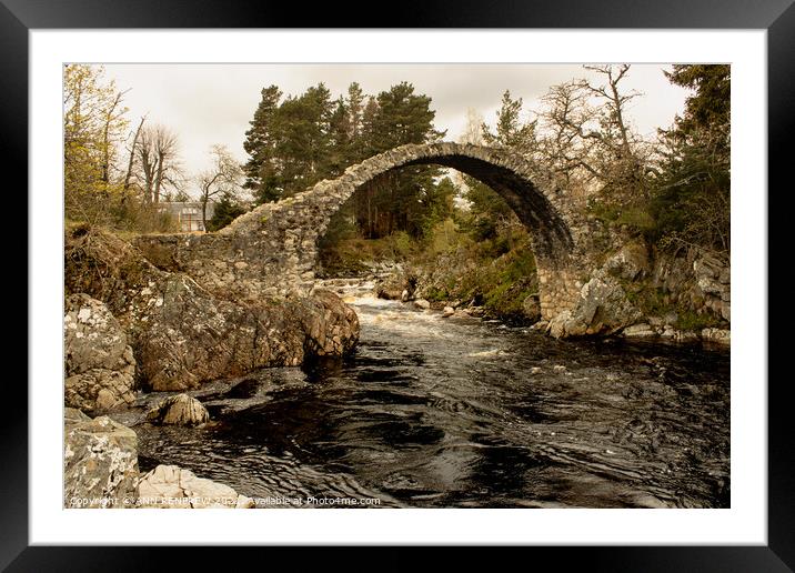 Old Packhorse Bridge in Carrbridge Scotland Framed Mounted Print by ANN RENFREW