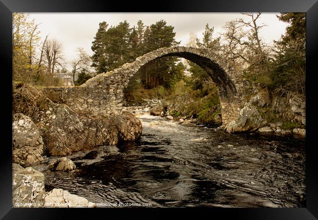 Old Packhorse Bridge in Carrbridge Scotland Framed Print by ANN RENFREW