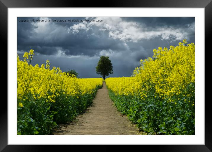 Footpath To The Storm Framed Mounted Print by Alison Chambers