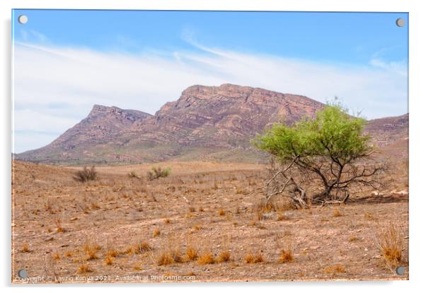 Mount Ohlssen-Bagge - Wilpena Pound Acrylic by Laszlo Konya