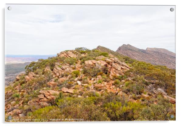 Mount Ohlssen-Bagge trail - Wilpena Pound Acrylic by Laszlo Konya