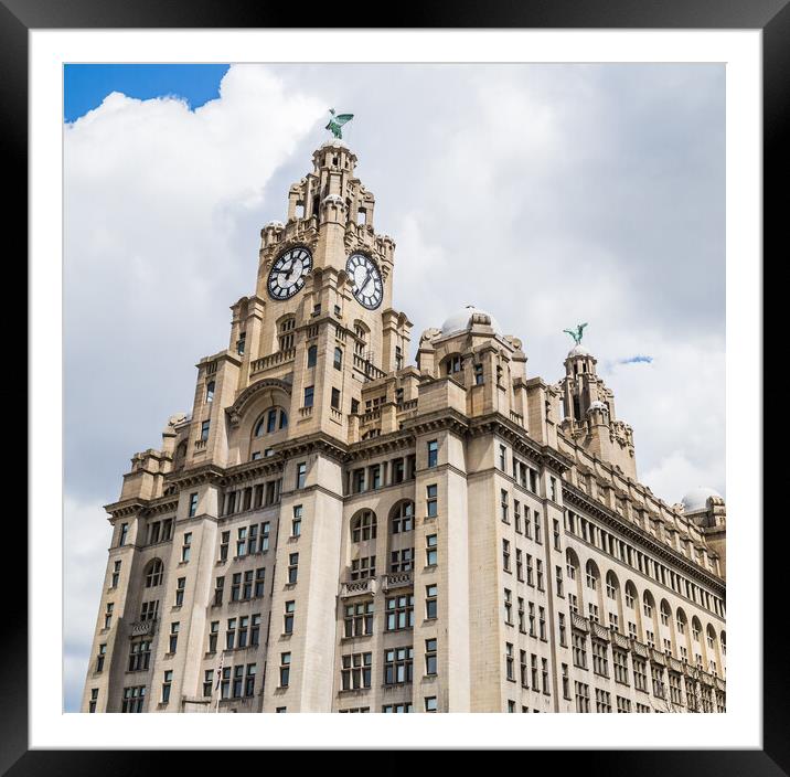 Royal Liver Building panorama Framed Mounted Print by Jason Wells