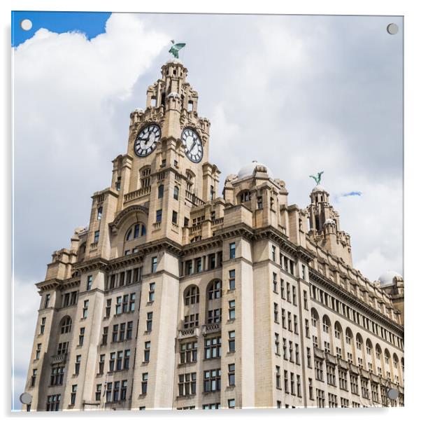 Royal Liver Building panorama Acrylic by Jason Wells