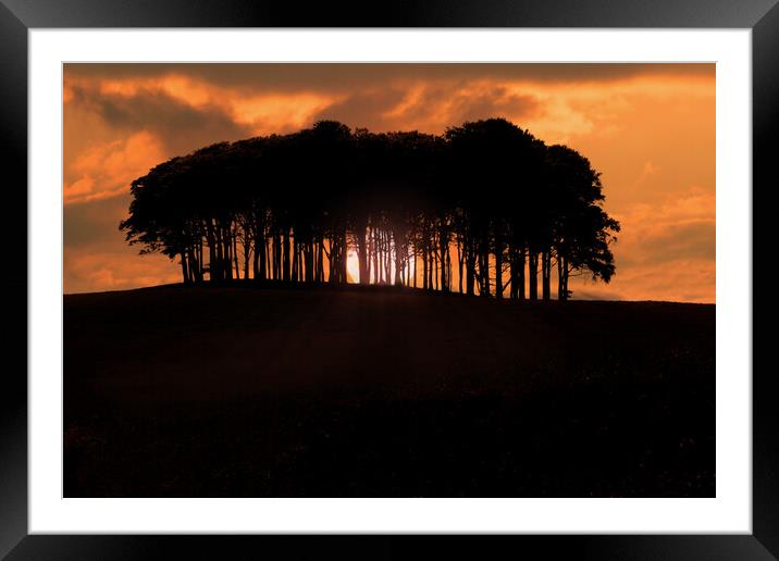 Coming Home Trees Nearly Home Trees Sunset Framed Mounted Print by Oxon Images