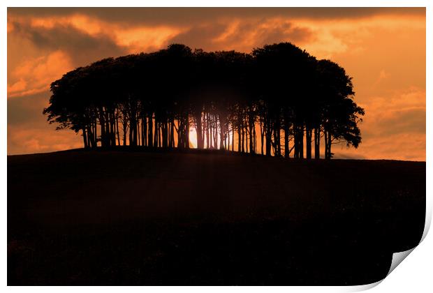 Coming Home Trees Nearly Home Trees Sunset Print by Oxon Images