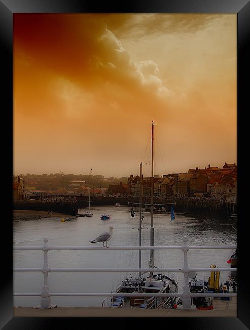 whitby harbour Framed Print by Northeast Images
