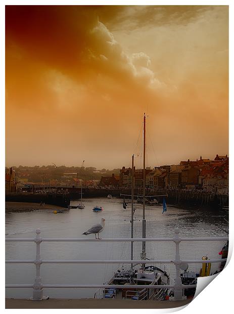 whitby harbour Print by Northeast Images