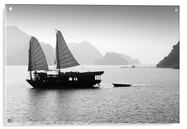 Junk in Halong Bay, Vietnam, black and white Acrylic by Delphimages Art