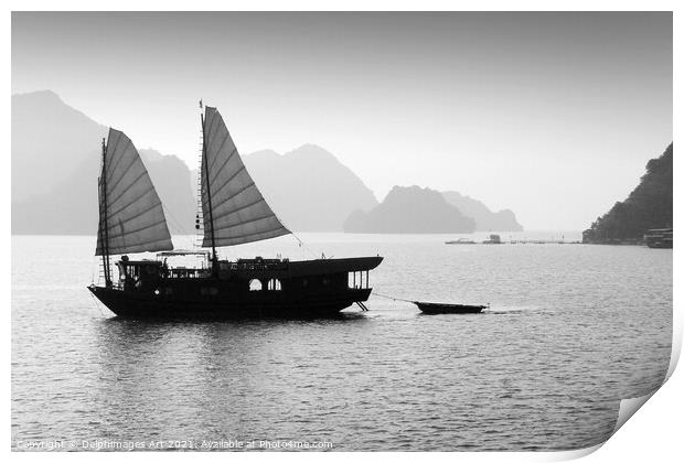Junk in Halong Bay, Vietnam, black and white Print by Delphimages Art
