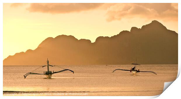 Philippines landscape, island of Palawan at sunset Print by Delphimages Art