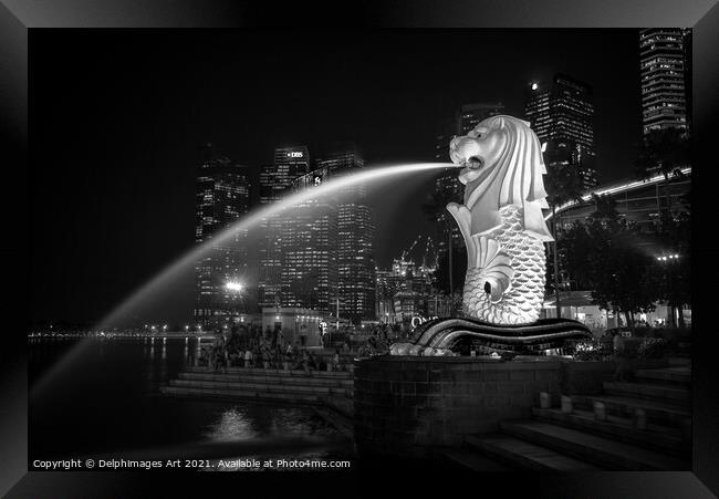 Singapore Merlion fountain, black and white Framed Print by Delphimages Art