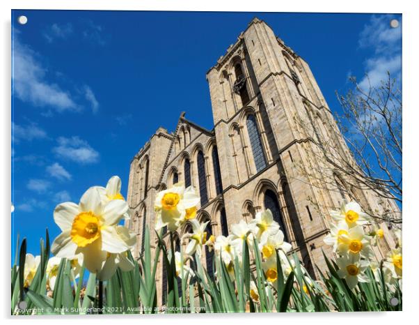 Ripon Cathedral in Spring Acrylic by Mark Sunderland