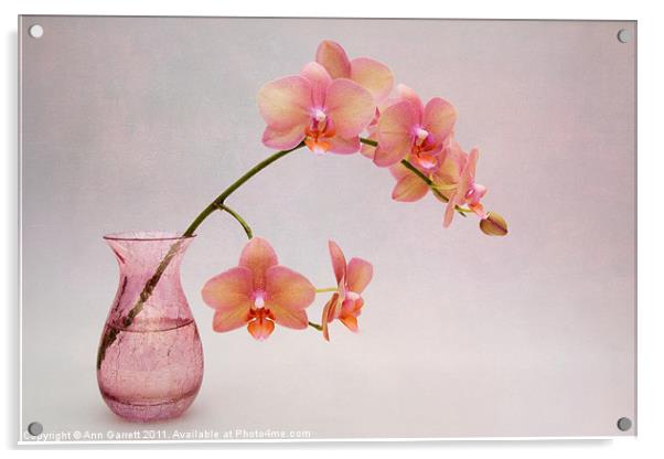 Orchids in a Pink Vase Acrylic by Ann Garrett