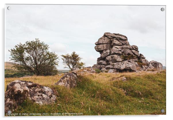 'Lion' Rock Tor, Dartmoor, Devon Acrylic by Peter Greenway
