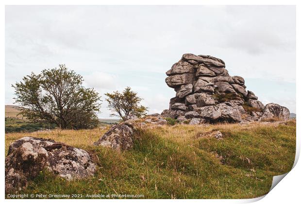 'Lion' Rock Tor, Dartmoor, Devon Print by Peter Greenway
