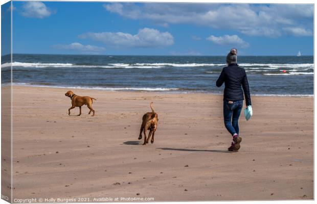 Alnmouth beach, Walking the dogs  Canvas Print by Holly Burgess