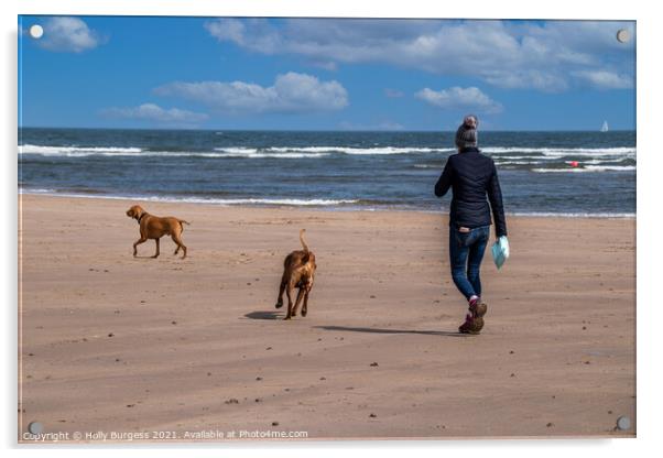 Alnmouth beach, Walking the dogs  Acrylic by Holly Burgess
