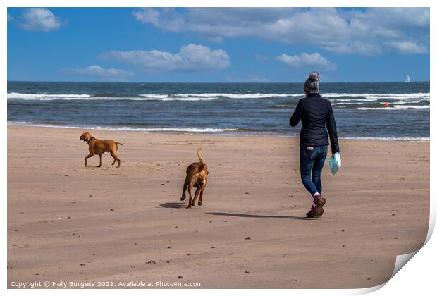Alnmouth beach, Walking the dogs  Print by Holly Burgess